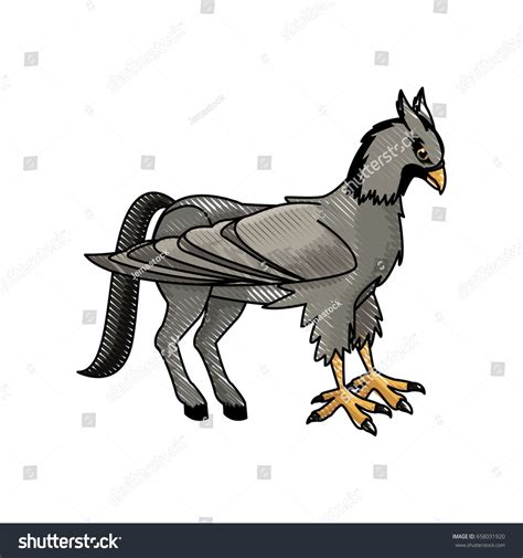 Hippogriff Greek Mythological Creature Beast Stock Vector Royalty Free