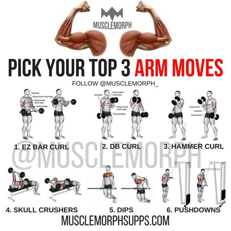 Pin By David Pugsley On Fitness Big Arm Workout Arm Workout For