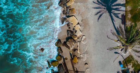 Birds Eye View Of Seashore During Daytime · Free Stock Photo