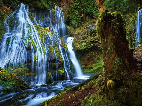Beautiful Scenery Panther Creek Falls Washington Usa Beautiful Hd