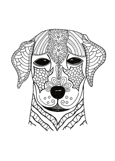 Coloring Sheets For Girls Animals Fin Construir
