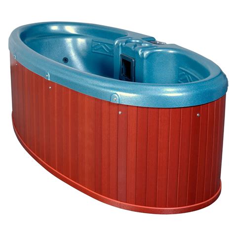 Qca Spas 2 Person 8 Jet Plug And Play Spa Hot Tub Backyard Hot Tub Hot Tub Accessories
