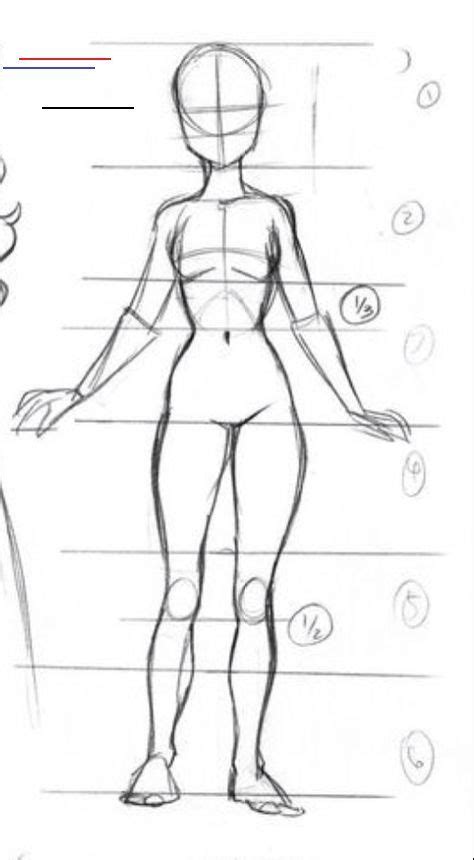 17 Ideas For Drawing Body Proportions Character Design In 2020
