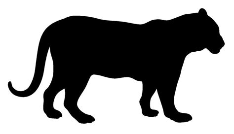 Tiger Silhouette Images At Getdrawings Free Download