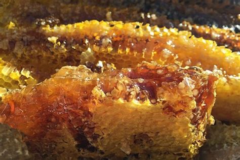 Eating highly refined carbs like white bread and sugary baked goods too often may harm your immune system. Foods That Weaken Your Immune System - Gospel News Network