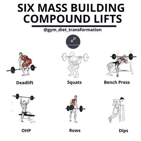 √ Compound Lifts Exercises