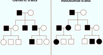 Expertly designed family tree templates, shapes and styles to quickly make family trees online. How to Draw a Family Tree: 10 Steps (with Pictures) - wikiHow