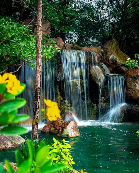 7 Florida Waterfalls To Road Trip To Florida Vacation Spots Florida