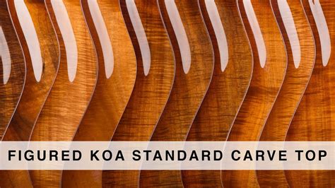 Suhr 2015 Collection Figured Koa Standard Carve Top Youtube