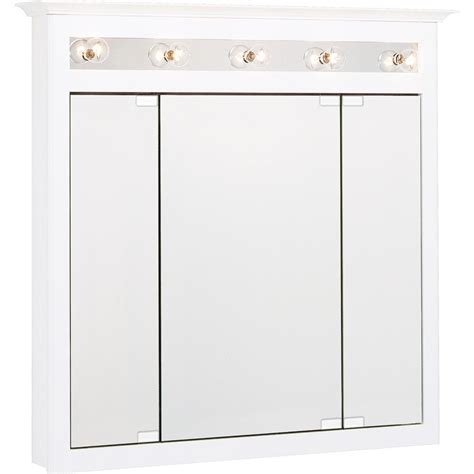 Shop Project Source 375 In X 36 In Surface Medicine Cabinet With