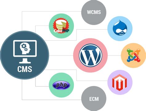 Web Content Management Systems And Examples Brightery