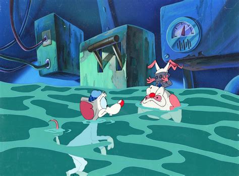 Pinky And The Brain Original Production Cel On Original Background Pinky And Brain In 2022