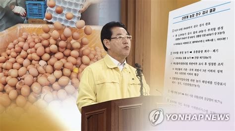 정부 보완검사 농장 420곳 중 3곳서 살충제 계란 검출 연합뉴스