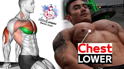 how to get bigger lower chest workout lower pec exercises youtube