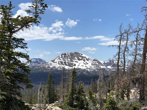 Mirror Lake Highway has only been open for a few days... : r/SaltLakeCity