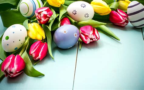 Happy Easter Eggs Pink Tulips Spring Flowers Spring Easter Hd