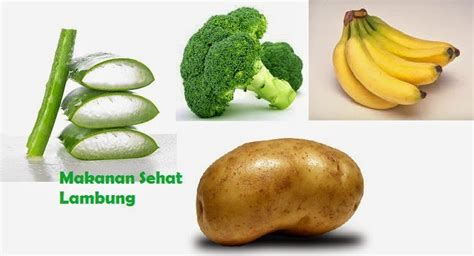 Dilansir dari healthline, salah satu makanan untuk penderita kanker pankreas adalah beragam jenis sayur dan buah. obat alami tumor lambung: Makanan Sehat Untuk Penderita ...