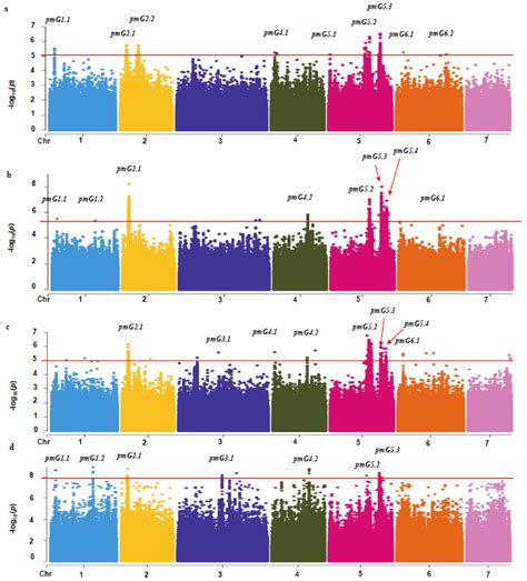 Genes Free Full Text Identification Of Novel Loci And Candidate Genes For Resistance To