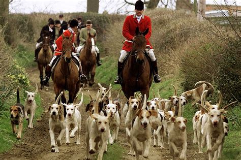 Fox Hunting Conservative Mp Sir Edward Garnier Wants Rspca To Stop