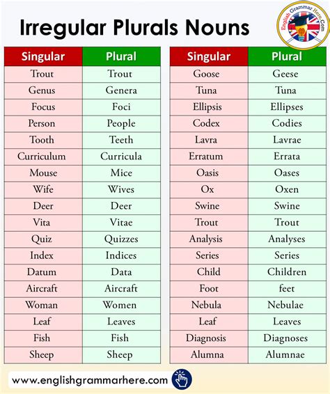 Regra Do Plural Em Inglês