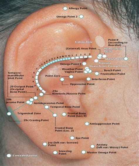 Pin On Accupressure