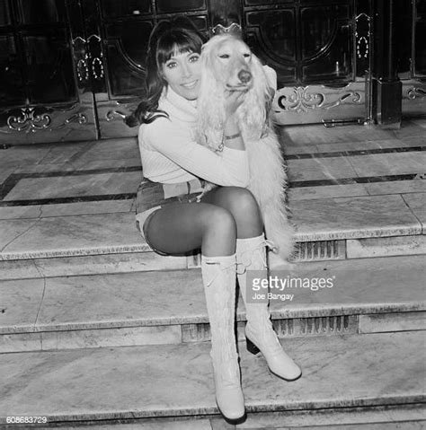 English Actress And Singer Anita Harris Poses With An Afghan Hound News Photo Getty Images