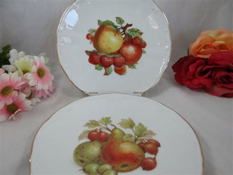 1960s Hutschenreuther Fruit Salad Plate Grapes Lovely Second Wind