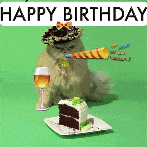 Browse our selection, customize your message & send funny birthday greeting cards online! Birthday wishes: Happy Birthday GIF celebrating cat ...