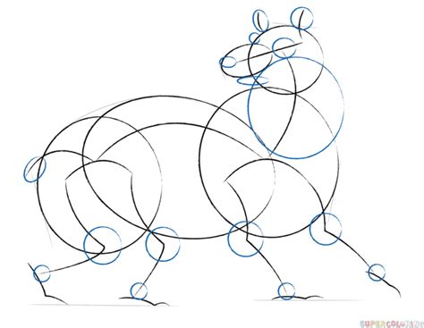 Cum Se Desenează Un Urs Animat Tutoriale De Desenat