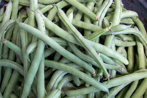 *times and pressure may differ now remove the canned green beans from the pressure canner using your jar lifter and place on a. Bean - Top Crop - St. Clare Heirloom Seeds - Heirloom and ...