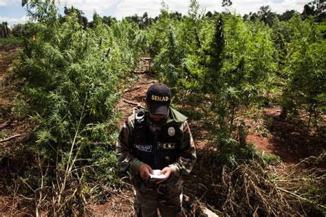 Brazils Violent Drug Trade Overruns Paraguay ‘scenes You