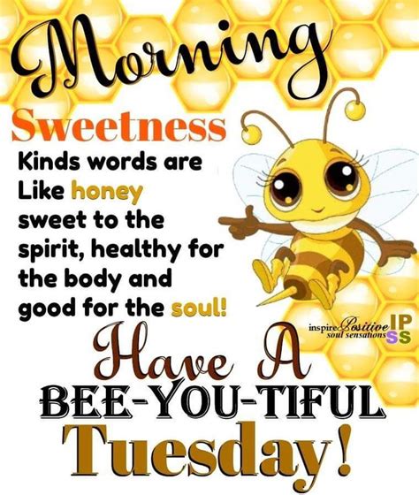 Maybe you would like to learn more about one of these? Have A Bee-you-tiful Tuesday!🌞🐝 | Tuesday quotes good ...