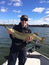 Lake Link Wisconsin Fishing Reports Images