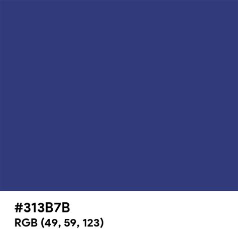 Classic Navy Color Hex Code Is 313b7b