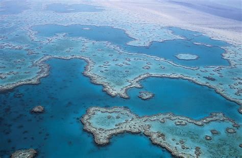 Overhead View Of The Great Barrier Reef Queensland Australia Image