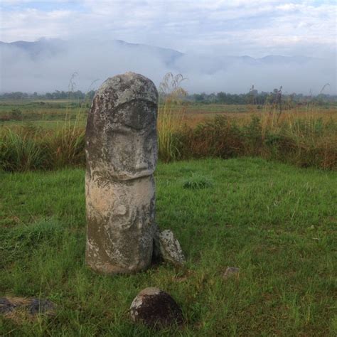Central Sulawesi Megalithic Sites Delineated For World Heritage Status
