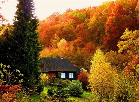 Fall Cabin Cozy Fall Retreat Beautiful World Beautiful Homes