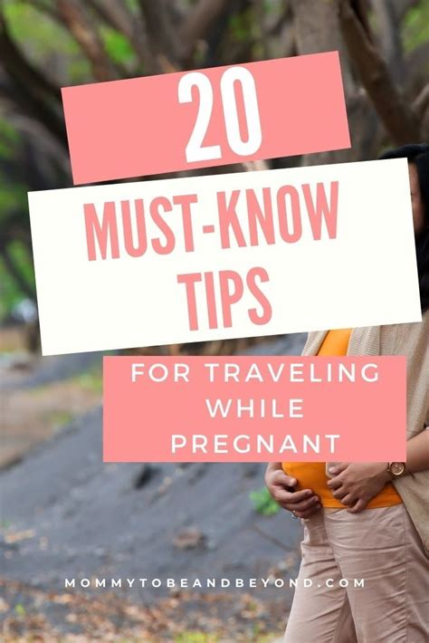 20 Tips For Traveling While Pregnant Artofit