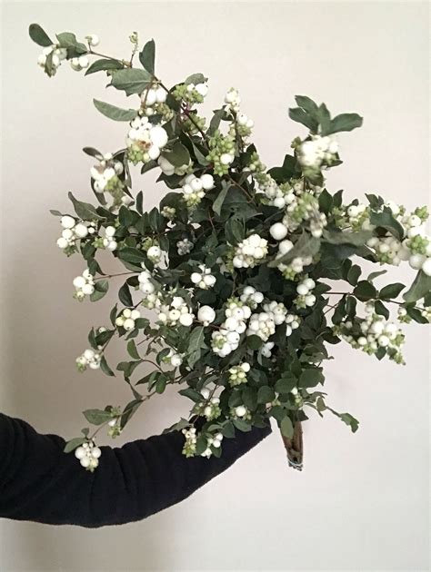 Snowberry For A White Bridal Bouquet White Bridal Bouquet Wedding