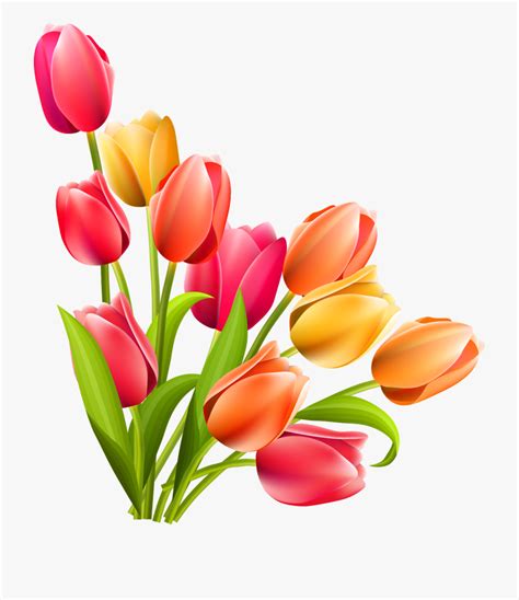 Free Clipart Flowers Tulips 10 Free Cliparts Download Images On