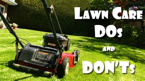 Iowa City Lawn Care Best Practices Dos And Donts Lawn Tek