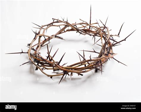 Crown Of Thorns On A White Background Easter Religious Motif