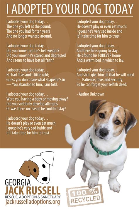 All of the pets below are available for adoption through tucson cold wet noses. Year in Review 2015: January | Georgia Jack Russell