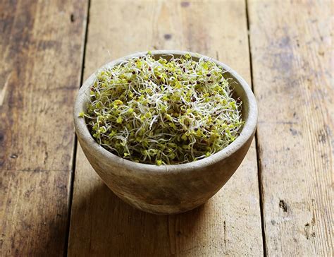 Broccoli Sprouts Organic Sky Sprouts 100g