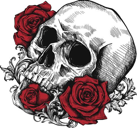 Skull With Roses Drawing By Skull Pixels My Xxx Hot Girl