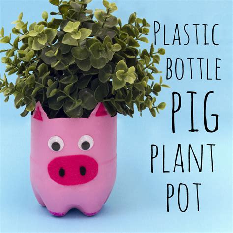 Diy Plant Pots From Plastic Bottles Diy Plant Holders From Plastic