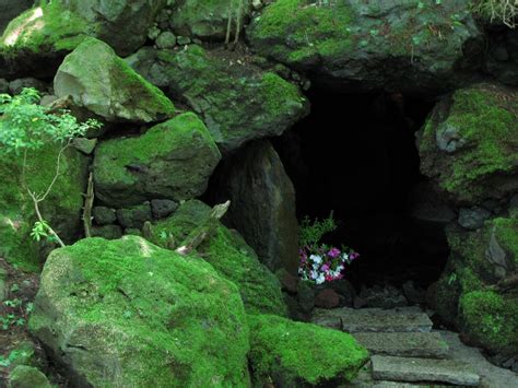 Free Images Forest Rock Flower Moss Formation Stream Cave