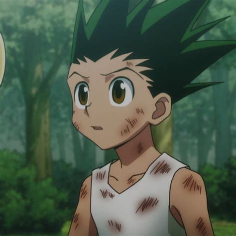 Gon Friks Hunter X Hunter Anime Anime Characters