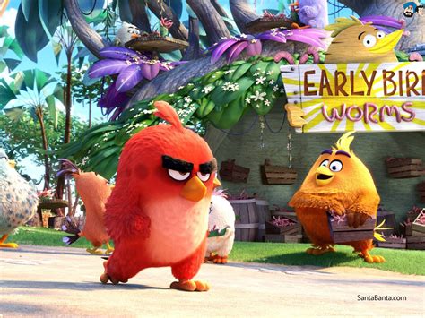 Download Angry Birds Movie Wallpaper In  Format For By Sarahw15