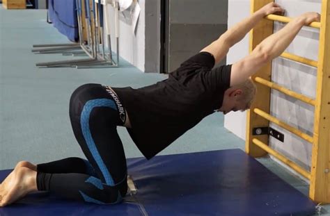 Stall Bar Exercises For Mobility And Flexibility